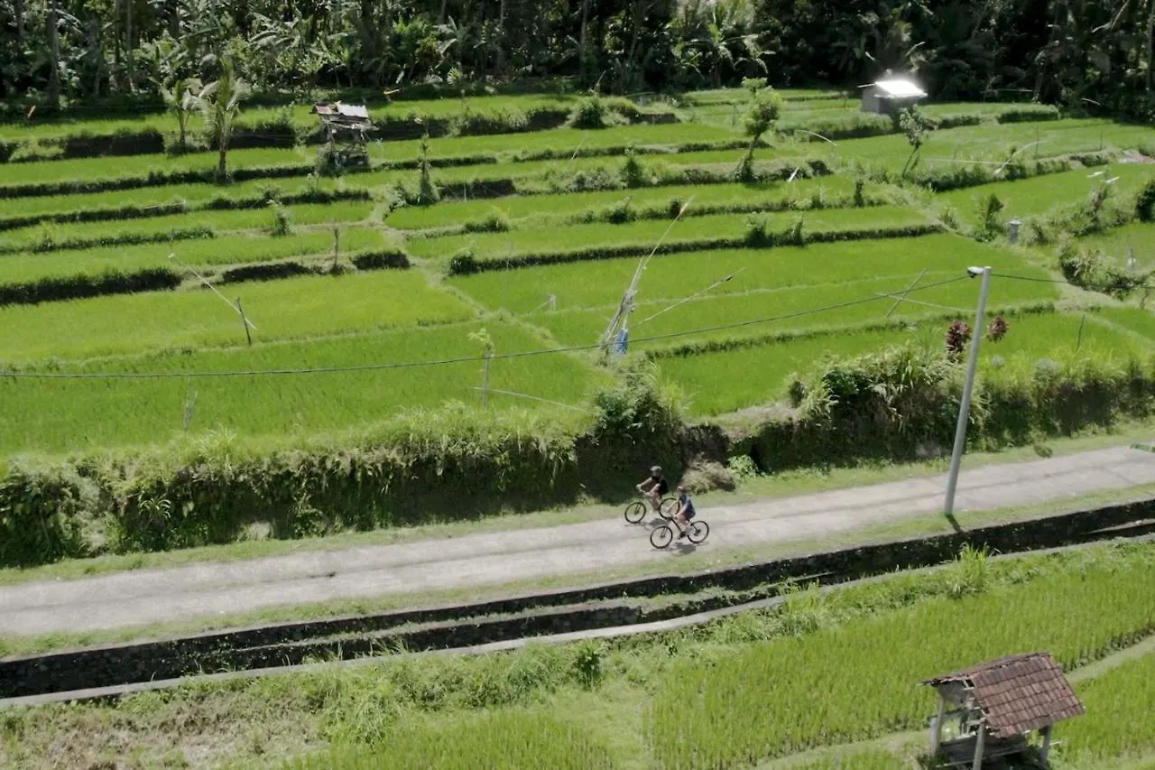 Kaura Bali Hotel Ubud  Ubud (Bali)