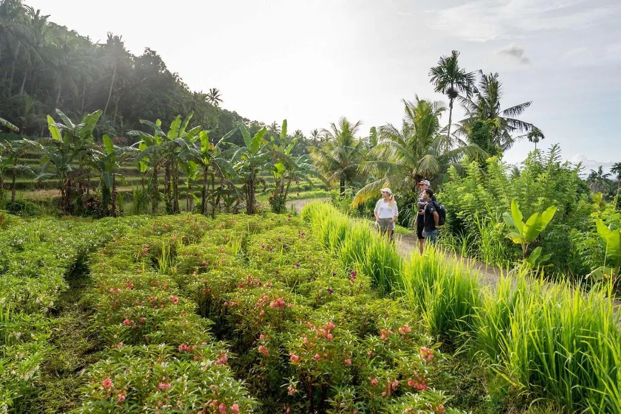 Kaura Bali Hotel Ubud  4*, Ubud (Bali)